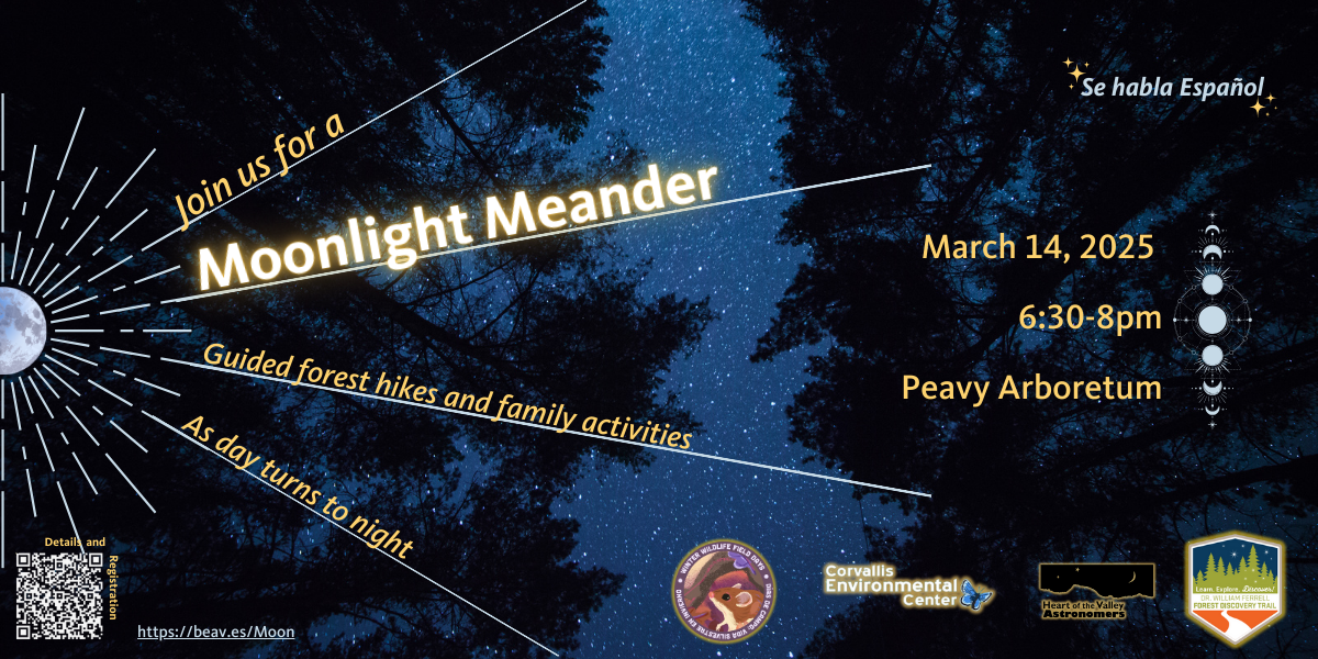 Banner graphic advertising the Moonlight Meander event