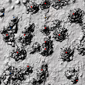 Digital Surface Model (DSM) / 3-d point cloud of tree locations